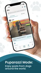 DOGLi - Dog Enrichment & Games screenshot 2