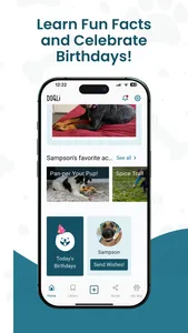 DOGLi - Dog Enrichment & Games screenshot 5