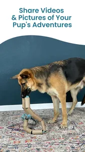 DOGLi - Dog Enrichment & Games screenshot 7