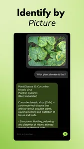 Plant Disease Identifier AI screenshot 2