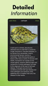 Plant Disease Identifier AI screenshot 4