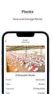 Kukufarm: poultry farm manager screenshot 2