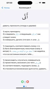 Словарь Pro screenshot 2