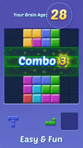 Block Puzzles screenshot 2