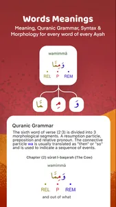Quran Majeed - القرآن مجيد screenshot 7