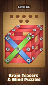 Screw Challenge: Nuts & Bolts screenshot 1