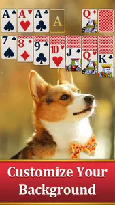 Classic Solitaire for Seniors screenshot 2