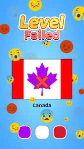 Paint Flag Color Match Puzzle screenshot 3