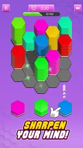 Hexa Sort Puzzle Merge Games screenshot 2