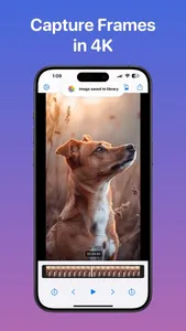 Grab HD Video Frames - VidGrab screenshot 1