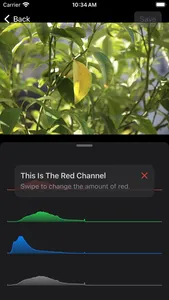 Flourish - Color Photo Editor screenshot 1
