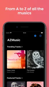 AZMusic screenshot 0