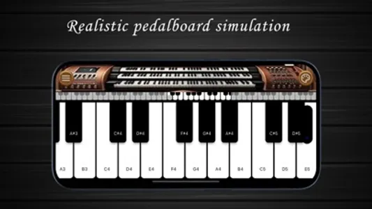 Organo Vibe screenshot 2