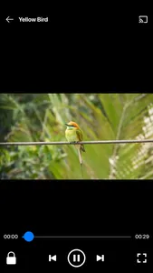 Fuevana IPTV Pro screenshot 7