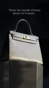 Falcons Collective screenshot 0