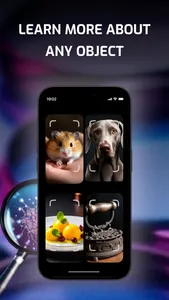 Identify Anything: What is it? screenshot 3