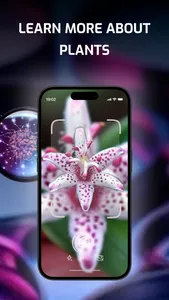 Identify Anything: What is it? screenshot 5