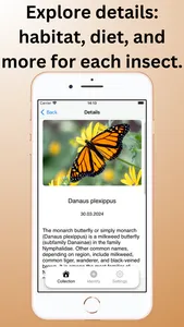 Bug Identifier, Insect ID screenshot 1