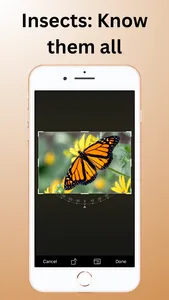 Bug Identifier, Insect ID screenshot 2