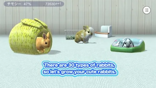 My Rabbit Room screenshot 0