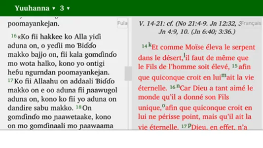 Pular English French screenshot 3