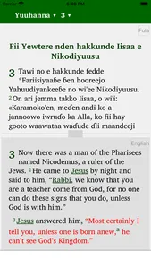 Pular English French screenshot 4