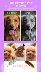 Collage Maker & Photo Maker screenshot 2