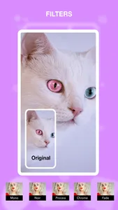 Collage Maker & Photo Maker screenshot 3