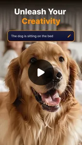 AI Video Generator - Viari screenshot 0