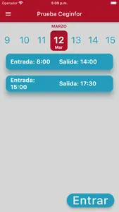 Control Horas Ceginfor screenshot 0