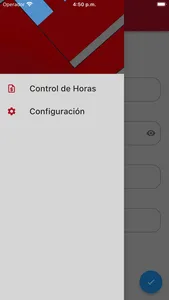 Control Horas Ceginfor screenshot 1
