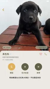DoggyCatty 狗狗貓貓領養趣 screenshot 0