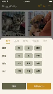 DoggyCatty 狗狗貓貓領養趣 screenshot 1