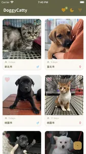 DoggyCatty 狗狗貓貓領養趣 screenshot 2