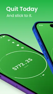 Quit Smoking: 99 Days screenshot 0