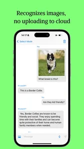 PocketGPT: Private AI screenshot 0