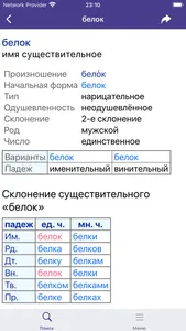 СловоРул screenshot 4