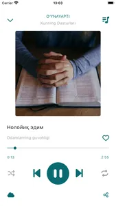 Dilkash Radiosi screenshot 1