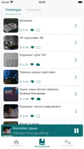 Dilkash Radiosi screenshot 3