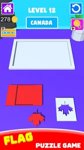 Flag Painting: Puzzle Game 3D screenshot 1
