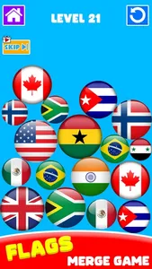 Flag Painting: Puzzle Game 3D screenshot 5