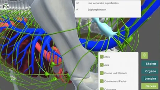 ATM Akademie screenshot 0