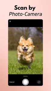 Dog Scanner Breed Identifier screenshot 2