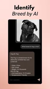 Dog Scanner Breed Identifier screenshot 3