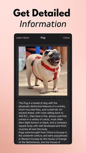 Dog Scanner Breed Identifier screenshot 5