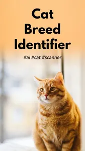 Cat Breed Identifier screenshot 0
