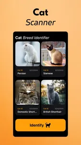 Cat Breed Identifier screenshot 1