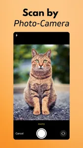 Cat Breed Identifier screenshot 2
