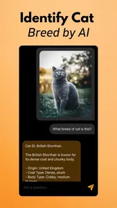 Cat Breed Identifier screenshot 3