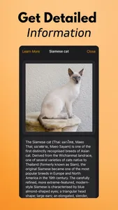 Cat Breed Identifier screenshot 5